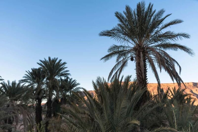 From Ouarzazate: 3 Days tour though Merzouga & Dades - Detailed Overview of the Tour Experience