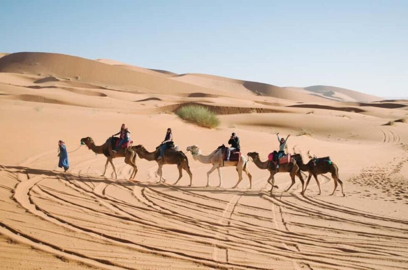 From Ouarzazate: Draa Valley, Camel Ride & Tinfou Dunes Trip - Tinfou Dunes: Sand, Camels, and Sunsets