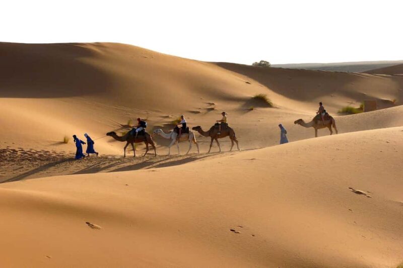 From Ouarzazate: Draa Valley, Camel Ride & Tinfou Dunes Trip - Lunch in a Nomad Tent: Authentic Flavors