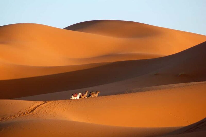 From Ouarzazate: Draa Valley, Camel Ride & Tinfou Dunes Trip - Return to Ouarzazate