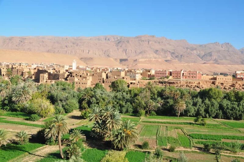 From Ouarzazate: Skoura Oasis, Kasbah & Dades Gorge Day Trip - Authentic Experiences & Local Encounters