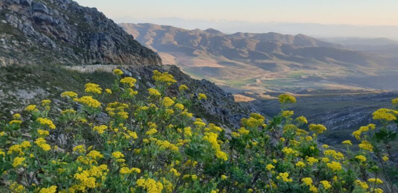 From Oudtshoorn: Full-Day Private Swartberg Mountain Tour - Exploring the Swartberg Mountain Tour in Detail