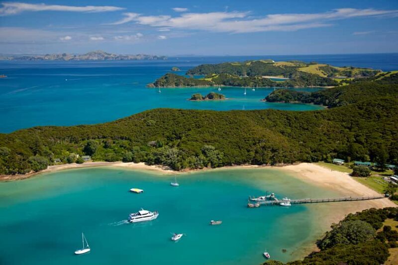 From Paihia: Full-Day Bay of Islands Cruise - Detailed Review of the Full-Day Bay of Islands Cruise