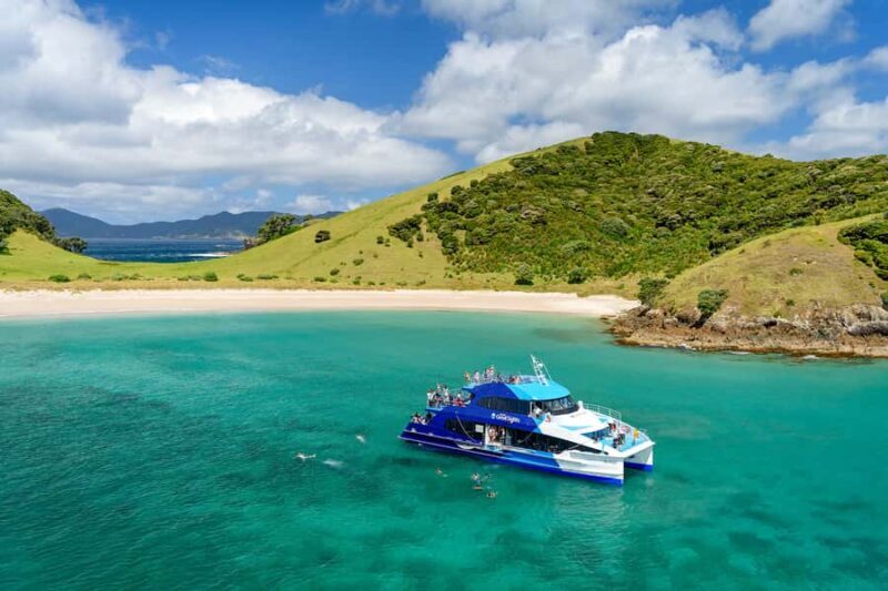 From Paihia: Full-Day Bay of Islands Cruise - The Sum Up