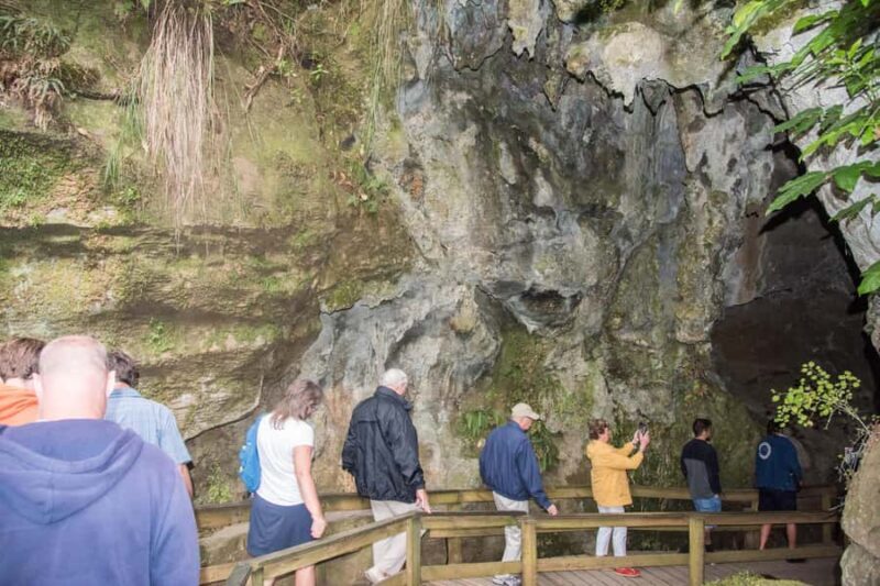 From Paihia: Kawiti Glowworm Caves Guided Tour - An In-Depth Look at the Kawiti Glowworm Caves Guided Tour