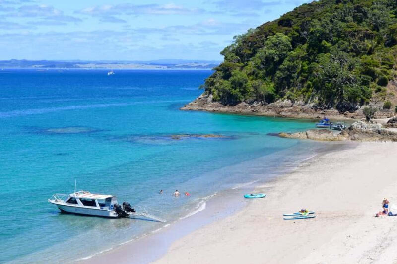From Paihia: Scenic Cruise with Roberton Island Stopover - Key Points