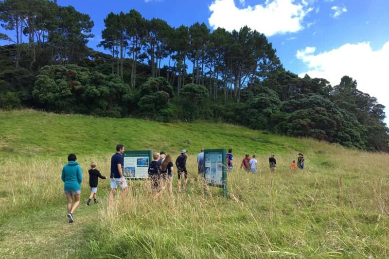 From Paihia: Scenic Cruise with Roberton Island Stopover - Why This Tour Stands Out