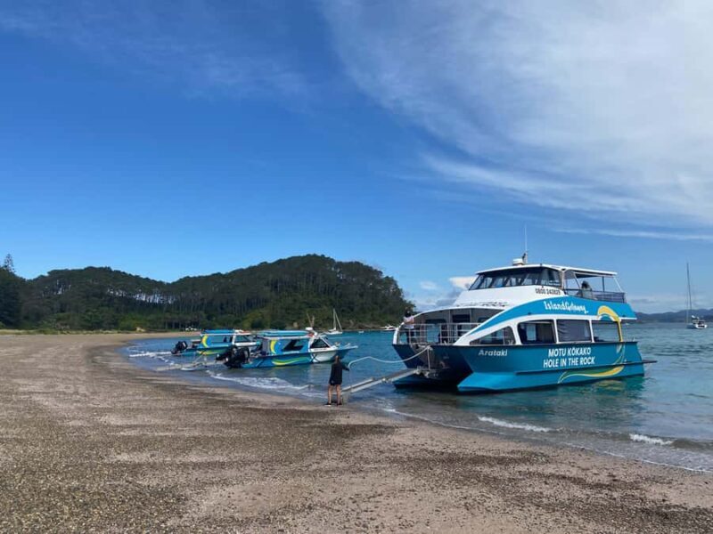 From Paihia: Scenic Cruise with Roberton Island Stopover - Practical Details for Visitors