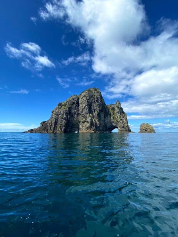 From Paihia: Scenic Cruise with Roberton Island Stopover - Final Thoughts: Is This Tour Right for You?