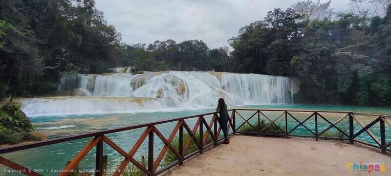 From Palenque: Palenque, Agua Azul Waterfalls and Misol-Ha - FAQ