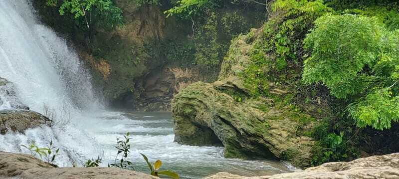 From Palenque: Palenque and Roberto Barrios Waterfalls Tour - What to Expect and How to Make the Most of It