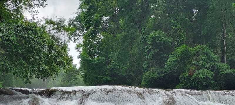 From Palenque: Palenque and Roberto Barrios Waterfalls Tour - Final Thoughts: Who Will Love This Tour?
