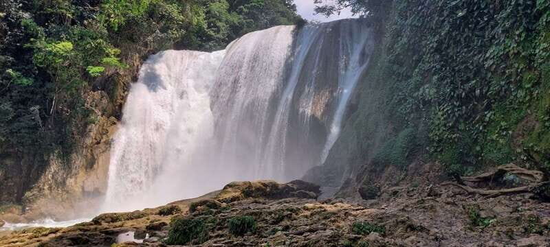 From Palenque: Roberto Barrios and El Salto Waterfalls Tour - Key Points