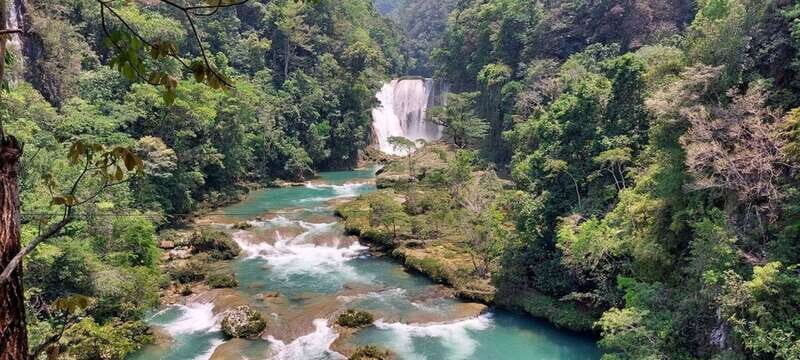 From Palenque: Roberto Barrios and El Salto Waterfalls Tour - Detailed Review of the Tour Experience