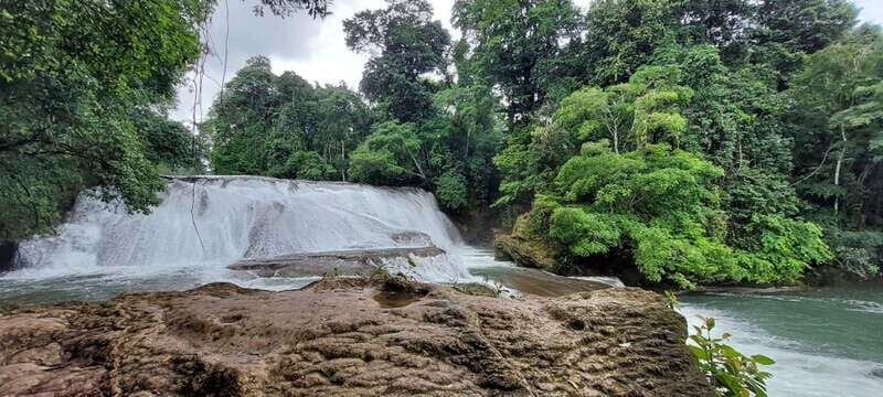 From Palenque: Roberto Barrios and El Salto Waterfalls Tour - Final Thoughts: Is This Tour Right for You?