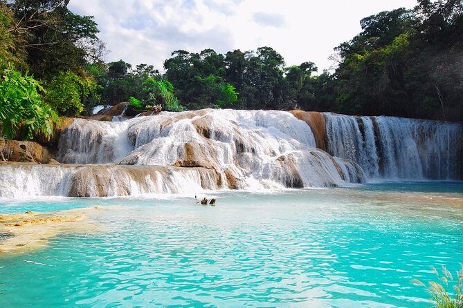From Palenque to Zona Arq. De Palenque, Misol Ha and Agua Azul - What’s Included and What’s Not