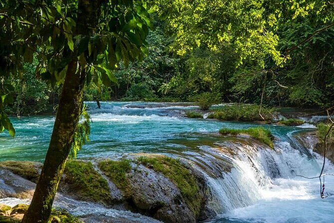From Palenque to Zona Arq. De Palenque, Misol Ha and Agua Azul - Who Is This Tour Best For?