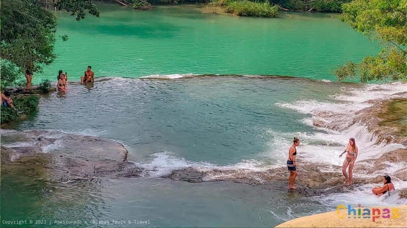 From Palenque: Tour of the Roberto Barrios Waterfalls - An In-Depth Look at the Roberto Barrios Waterfalls Tour