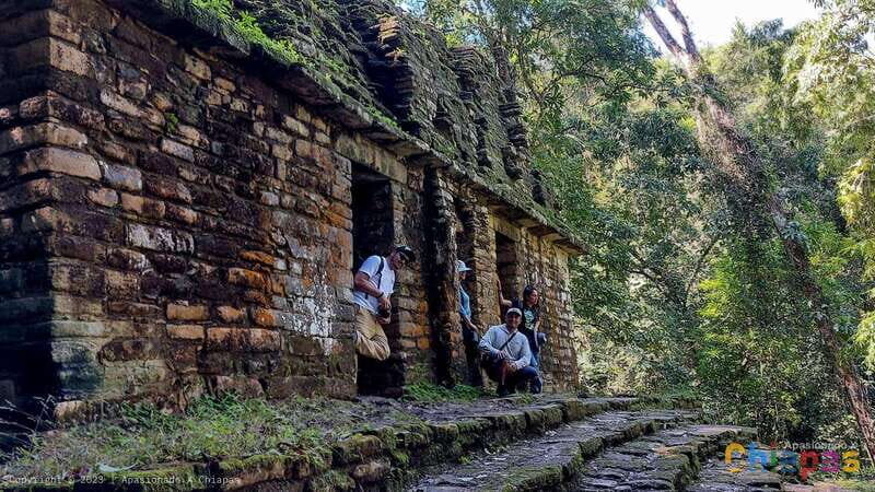 From Palenque: Yaxchilán and Bonampak Tour - An In-Depth Look at the Tour