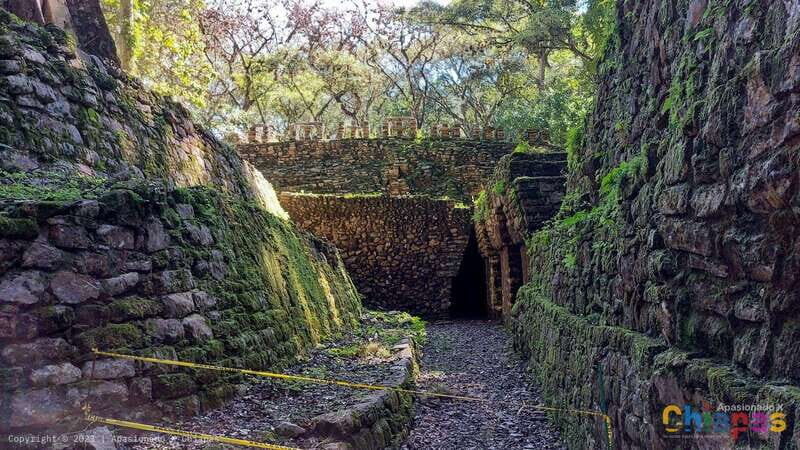 From Palenque: Yaxchilán and Bonampak Tour - What Past Travelers Say