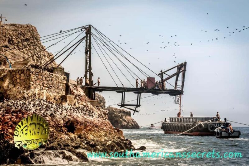 From Paracas: Ballestas Islands tour all Inclusive - A Short but Rich Itinerary
