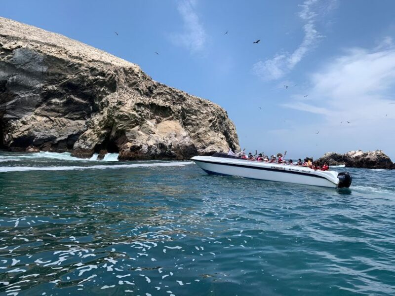 From Paracas: Ballestas Islands tour all Inclusive - Authentic Encounters & Customer Feedback
