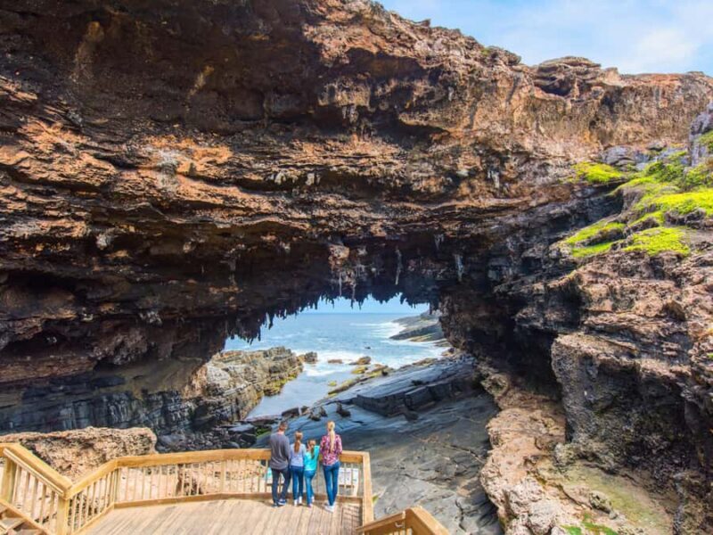 From Penneshaw: Kangaroo Island Sights and Wildlife Tour - Key Points