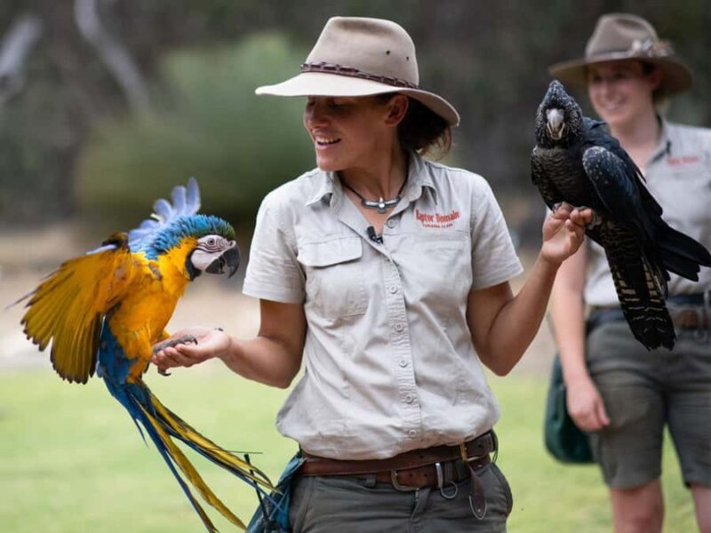 From Penneshaw: Kangaroo Island Sights and Wildlife Tour - What to Expect from This Kangaroo Island Day Trip