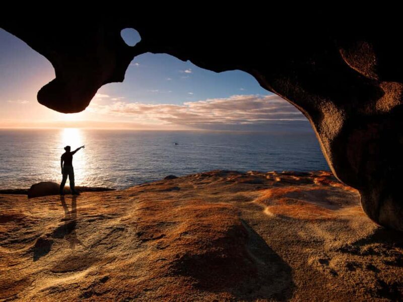 From Penneshaw: Kangaroo Island Sights and Wildlife Tour - Who Will Love This Tour?