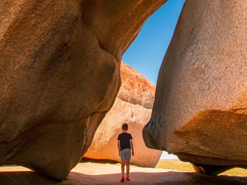 From Penneshaw: Kangaroo Island Sights and Wildlife Tour - The Sum Up