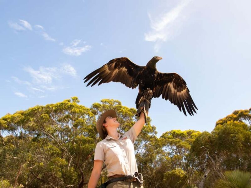 From Penneshaw: Kangaroo Island Sights and Wildlife Tour - FAQ