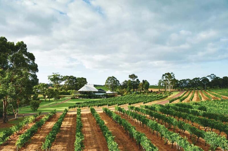 From Perth: Full-Day Margaret River Wine Tastings & Lunch - Final Thoughts