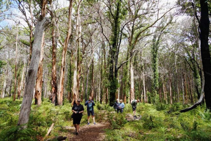 From Perth: Margaret River Region Impression Day Tour - Key Points
