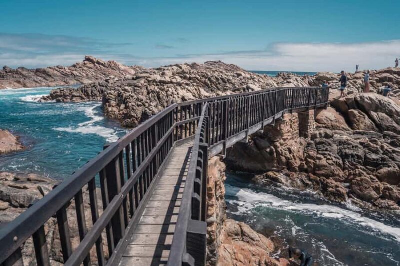 From Perth: Margaret River Wine Tour & Wildlife Cruise - Exploring the Itinerary in Detail