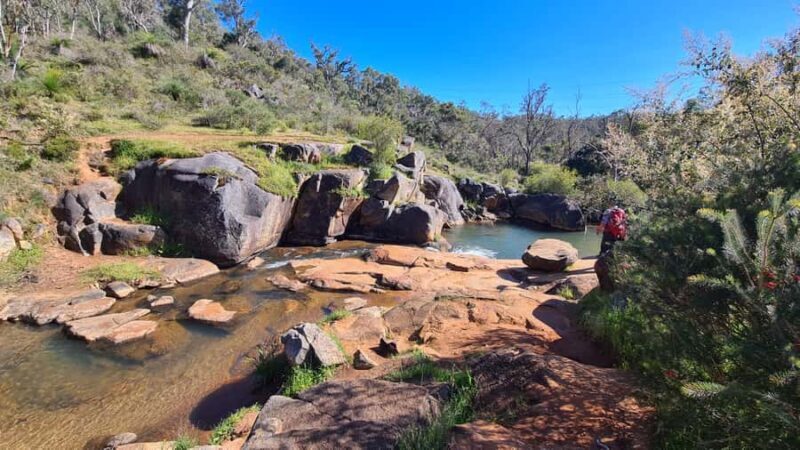 From Perth or Baldivis: Perth Hills Hike, Wine & Dine Tour - Key Points