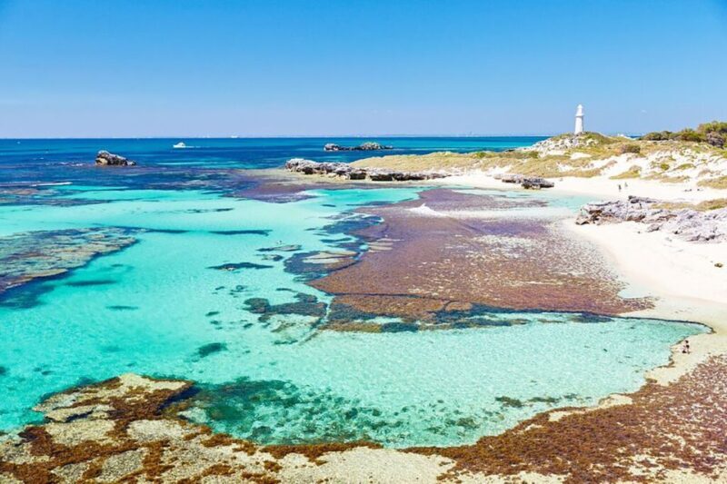 From Perth or Fremantle: Rottnest Island Ferry and Bus Tour - The Sum Up: Who Will Love This Tour?