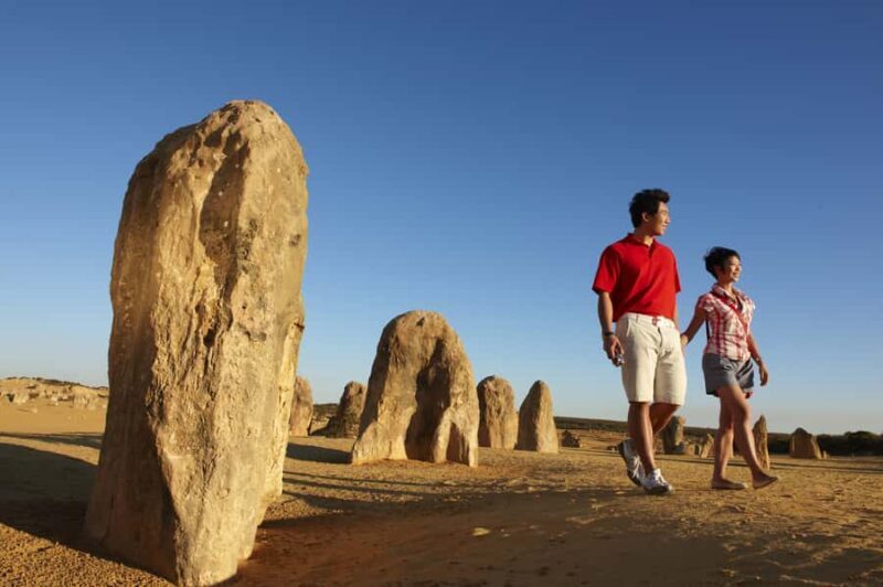 From Perth: Pinnacles Desert, Yanchep & Swan Valley Day Tour - Exploring the Itinerary: What You Can Expect
