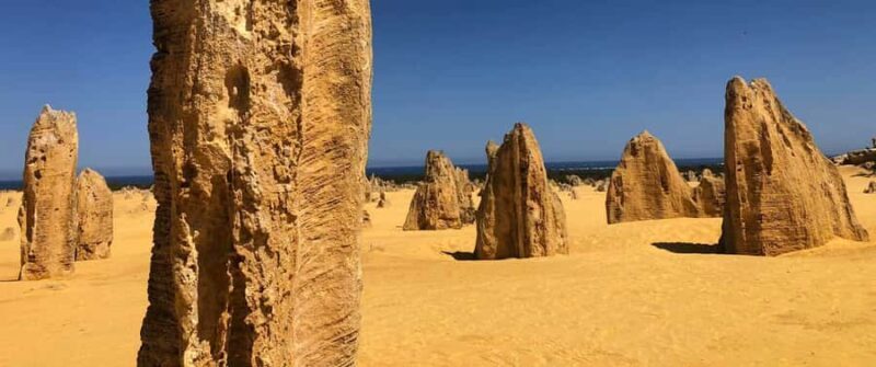 From Perth: Pinnacles Tour, Early Start, Avoid Crowds & Heat - An In-Depth Look at the Pinnacles Tour from Perth