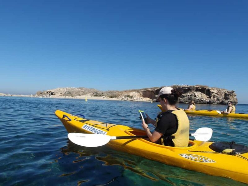From Perth: Rockingham Seal & Penguin Islands Sea Kayak Tour - From Perth: Rockingham Seal & Penguin Islands Sea Kayak Tour — A Detailed Review