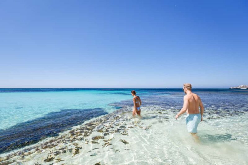From Perth: Rottnest Island Ferry & Bus Day Tour - Final Thoughts: Is This Tour Worth It?