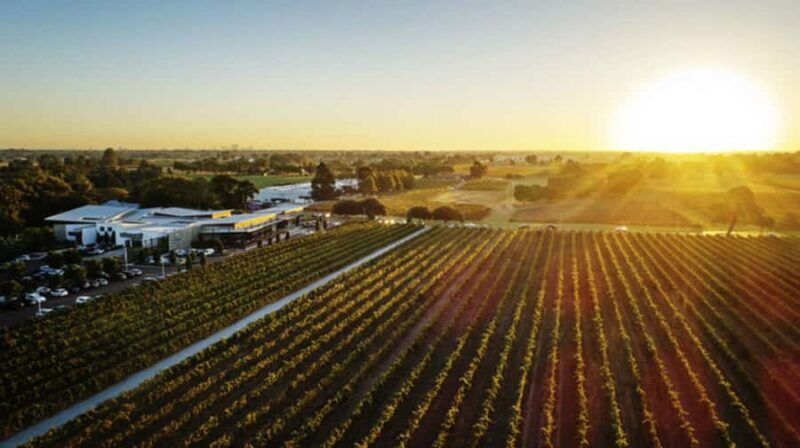 From Perth: Swan Valley Cruise, Winery, Cheese & Lunch - Key Points