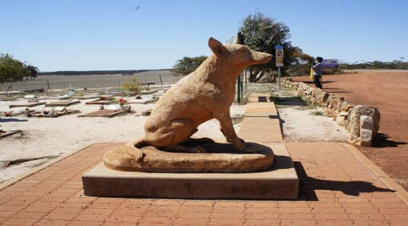 From Perth: Wave Rock and York Cultural Tour with a Guide - Discovering Australia’s Landscape and Culture in One Day