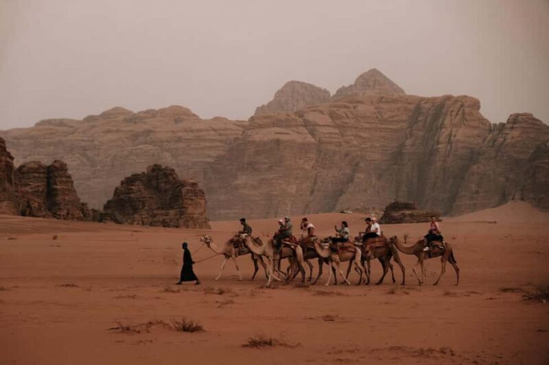 From Petra: Visit wadi rum back to Amman or Amman Airport - Key Points