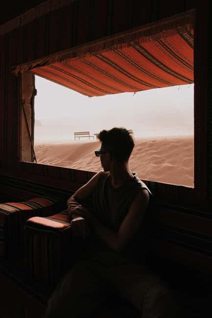 From Petra: Visit wadi rum back to Amman or Amman Airport - Analyzing the Value: Price and What’s Included