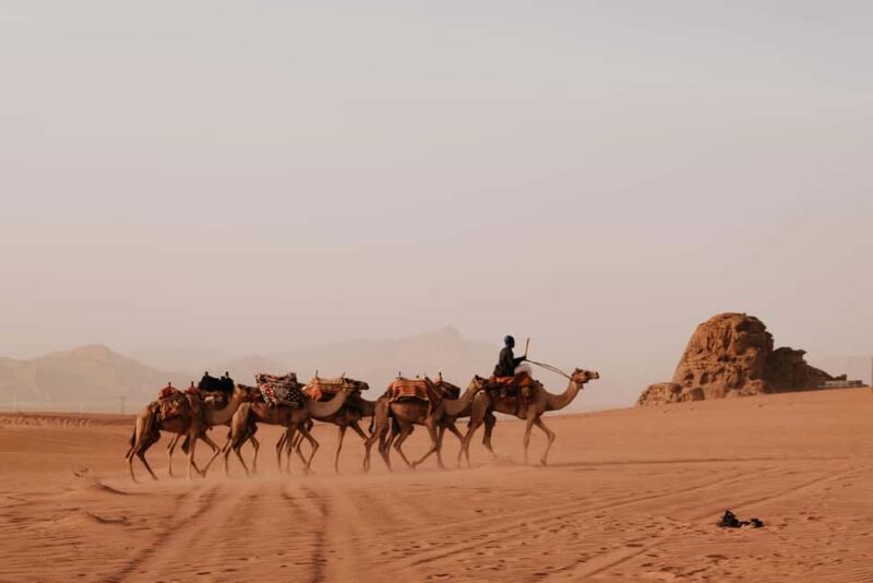 From Petra: Visit wadi rum back to Amman or Amman Airport - Who Should Consider This Tour?