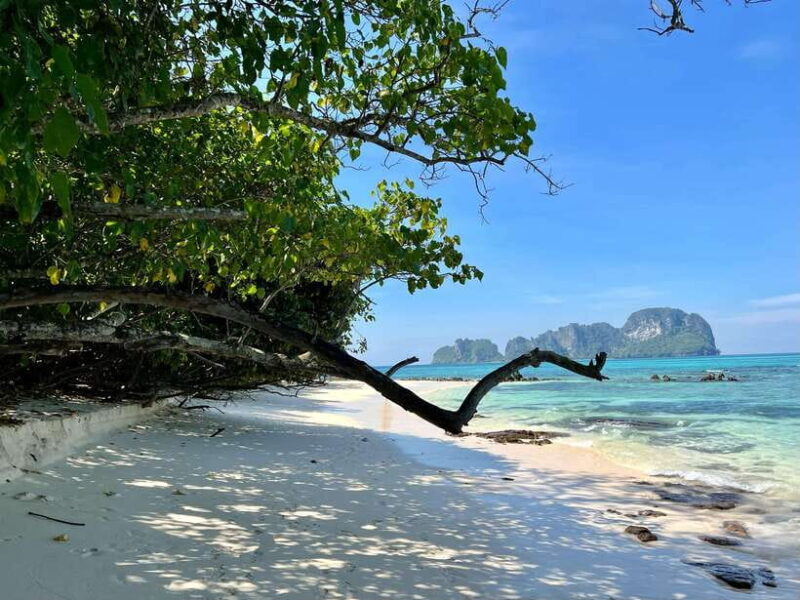From Phi Phi: Full Day 7 Island Tour by Longtail with Sunset - Detailed Breakdown of the Itinerary