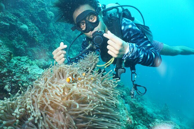 From Phi Phi: Half Day Discover Scuba (2 Dives) - The Sum Up