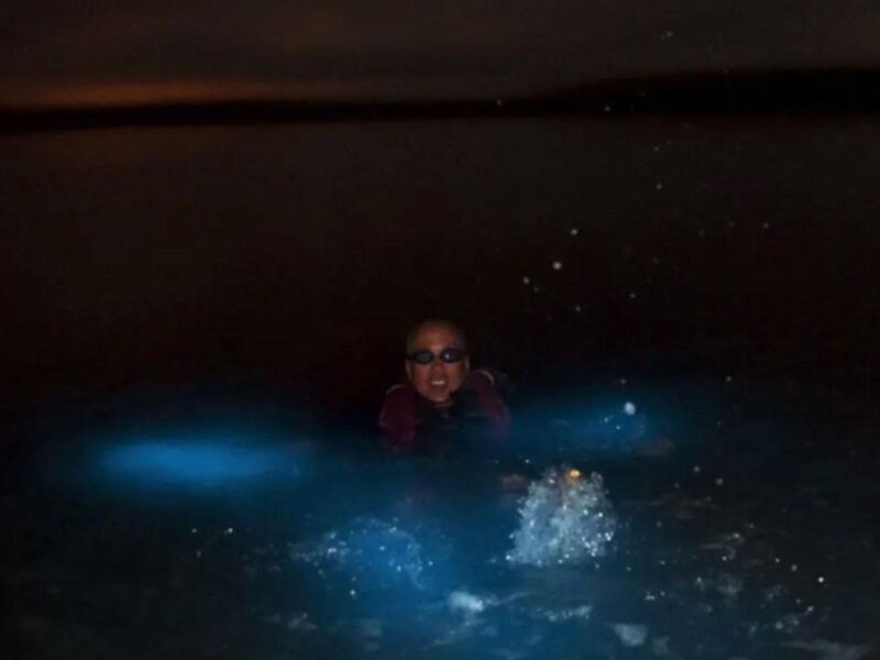 From Phi Phi: Sunset & Bioluminescent Plankton Snorkel Tour - Logistics and Practicalities