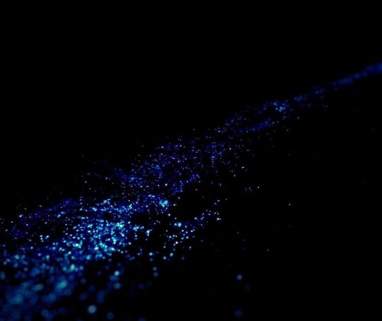 From Phi Phi: Sunset & Bioluminescent Plankton Snorkel Tour - Final Words: Who Should Consider This Tour?