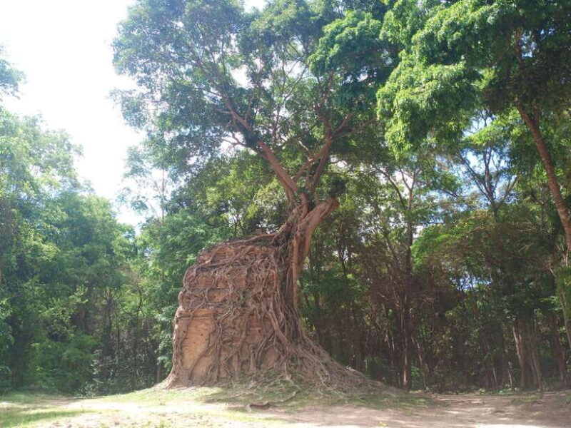 From Phnom Penh: 7-Day Private Tour to Siem Reap - The Sum Up